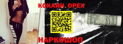 ГАЛЛЮЦИНОГЕННЫЕ ГРИБЫ Новозыбков