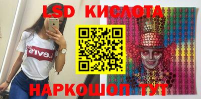 тгк Новодвинск