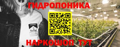 ГАЛЛЮЦИНОГЕННЫЕ ГРИБЫ Новозыбков