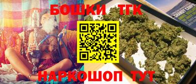 тгк Новодвинск