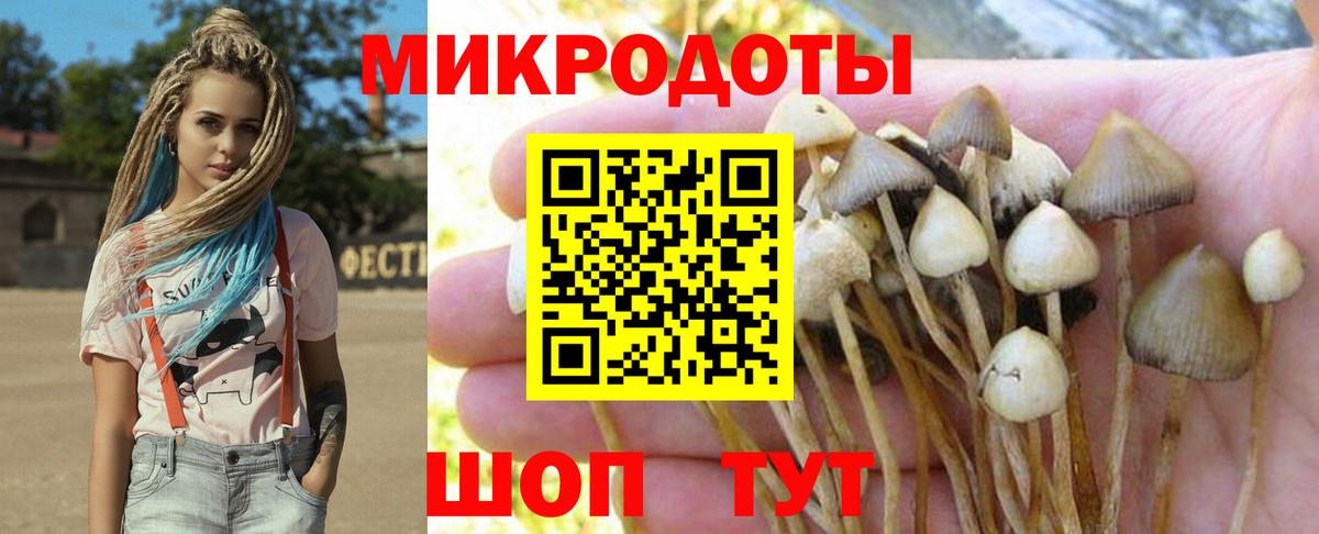 Галлюциногенные грибы MAGIC MUSHROOMS Фрязино